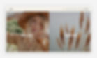 blog pages